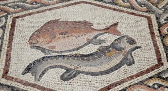Le signe du Poissons dans « La Condition solaire »